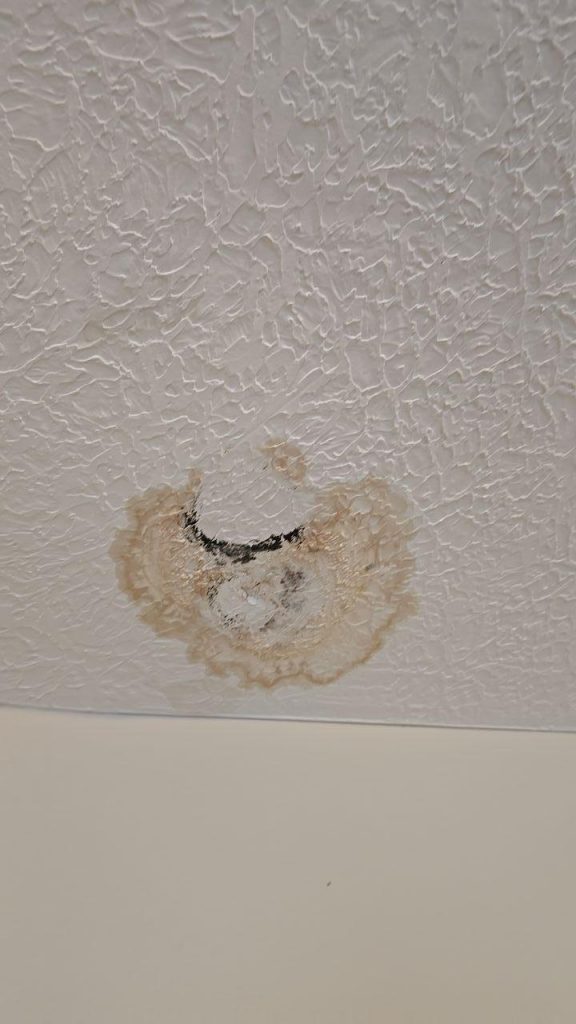 Watermarks on Walls and Ceilings: A Warning Sign