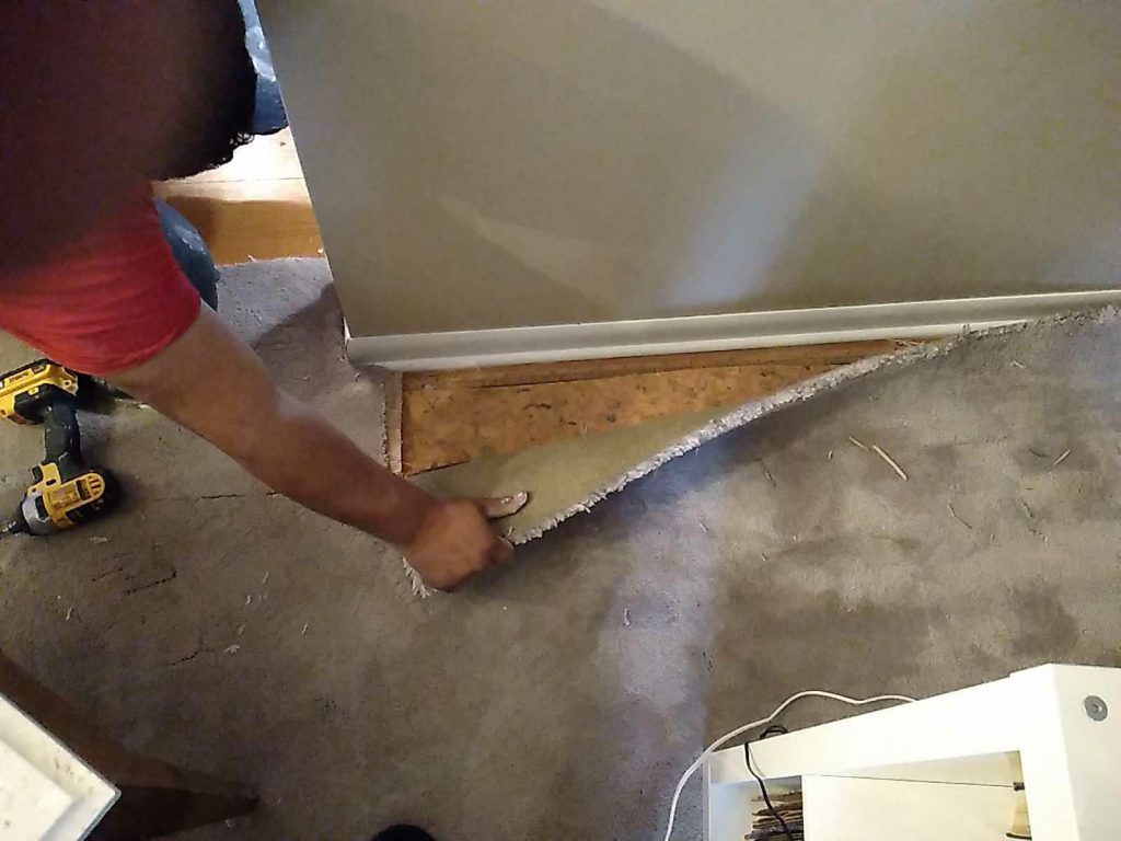 Mold Inspection image