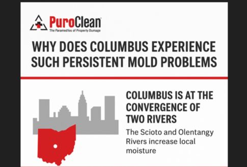 Recurring Mold Problem and Why Does Columbus Experience Such Persistent Mold Problems? 5 Pro Tips for Everyone