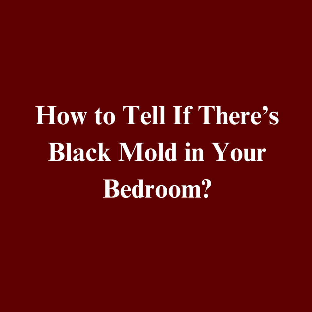 Black Mold in Columbus Bedrooms: Understanding Health Risks and Professional Removal Costs, Mold Abatement Service in Columbus
