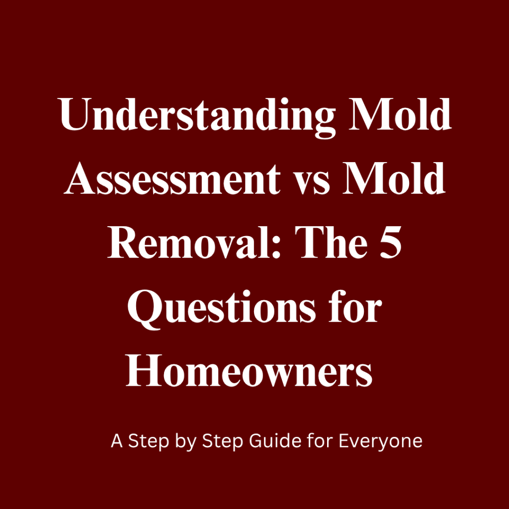 Understanding Mold Assessment vs Mold Removal: The 5 Essential Questions for Columbus Homeowners Getting Estimates