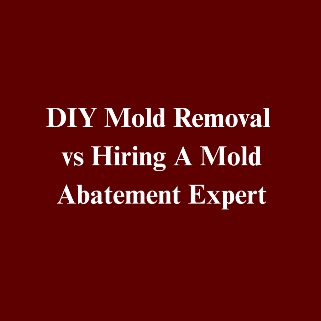 DIY Mold Removal vs Hiring A Mold Abatement Expert in Columbus, Ohio: Explaining The Risks, Limitations, and Long-Term Effectiveness in 21st Century