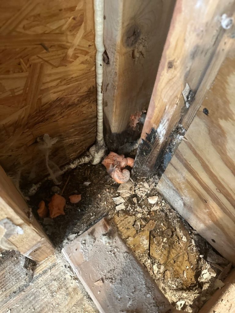 Why Mold Keeps Returning in Columbus Homes After Cleaning and How Certified Experts Eliminate It for Good