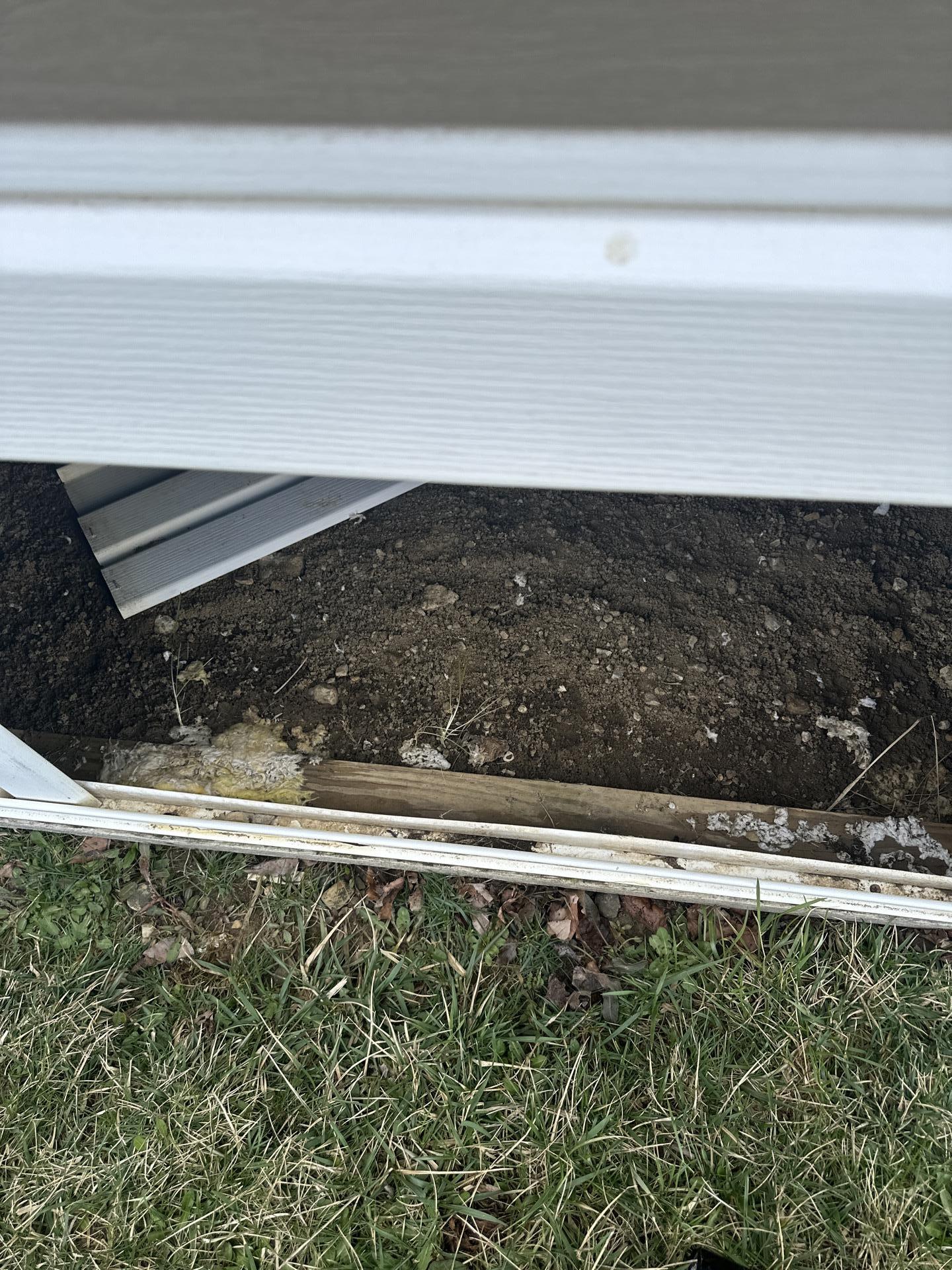 Mold to grow