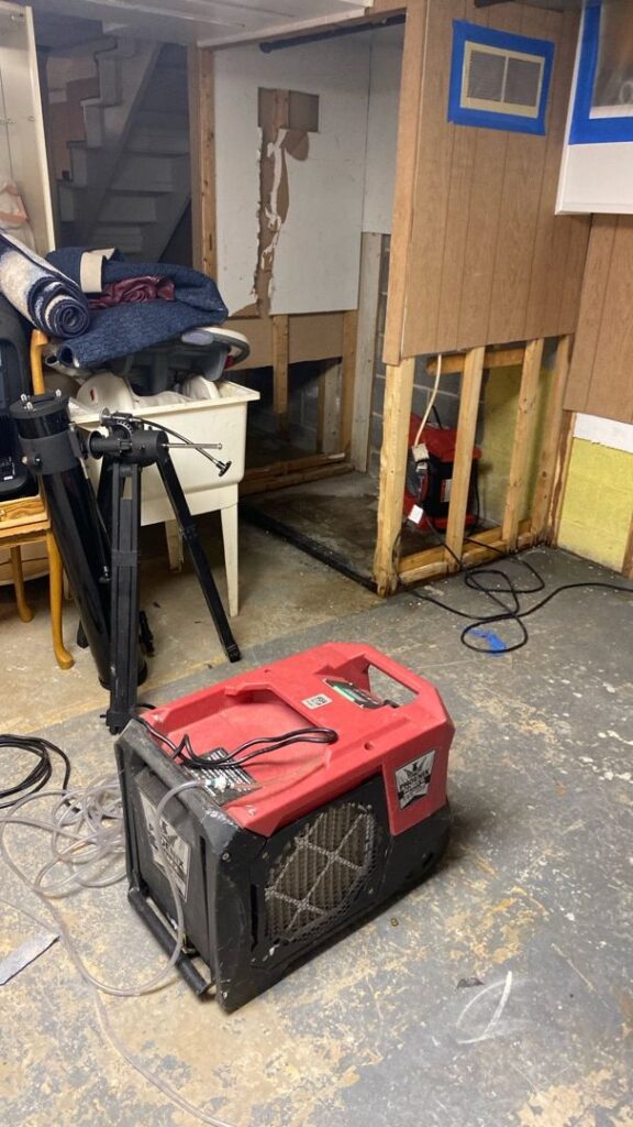 The Professional Remediation Process, Step by Step