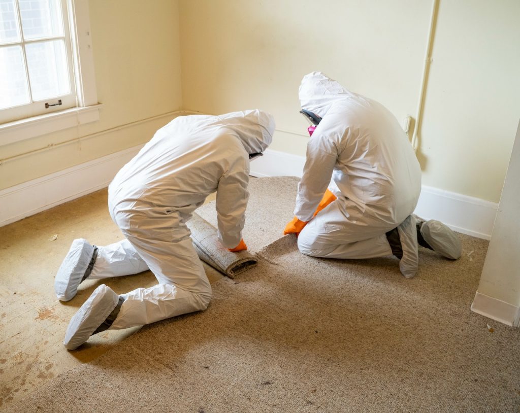 importance of professional biohazard cleanup