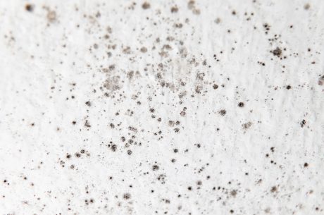 painting a bathroom ceiling with mold
