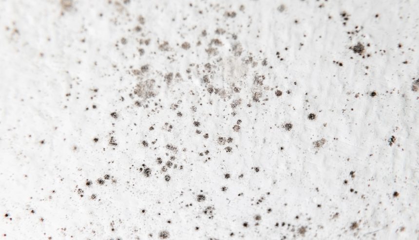 painting a bathroom ceiling with mold