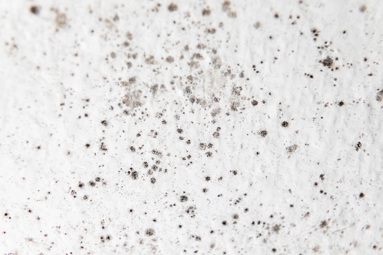 Painting a Bathroom Ceiling with Mold: Best Practices