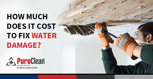 How Much Does It Cost To Fix Water Damage Puroclean Of Chandler