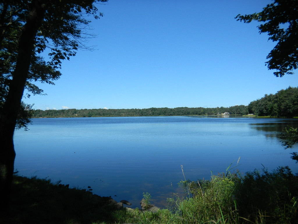 Water, Fire and Mold Remediation in Pocono Summit