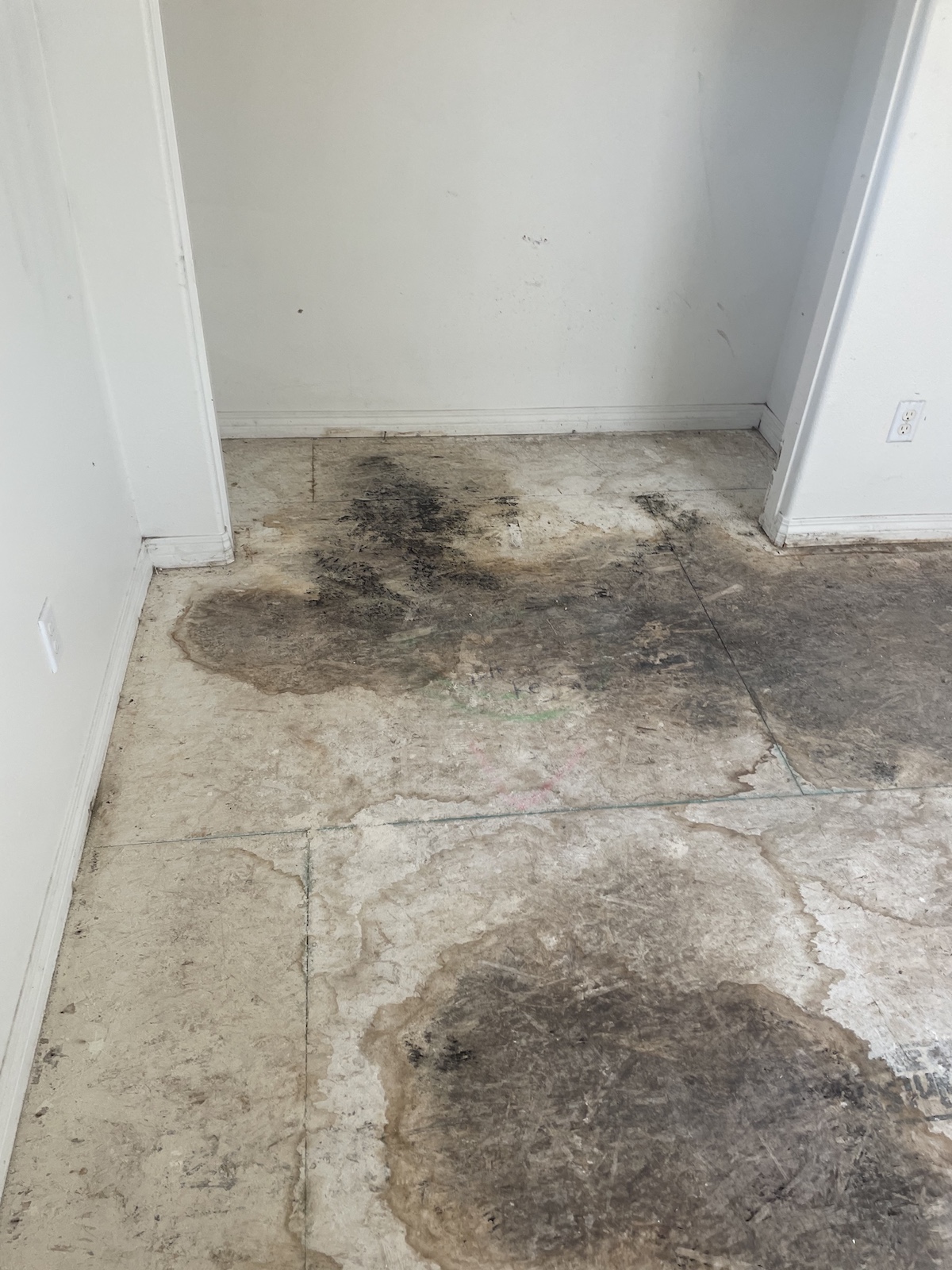 mold affected floor