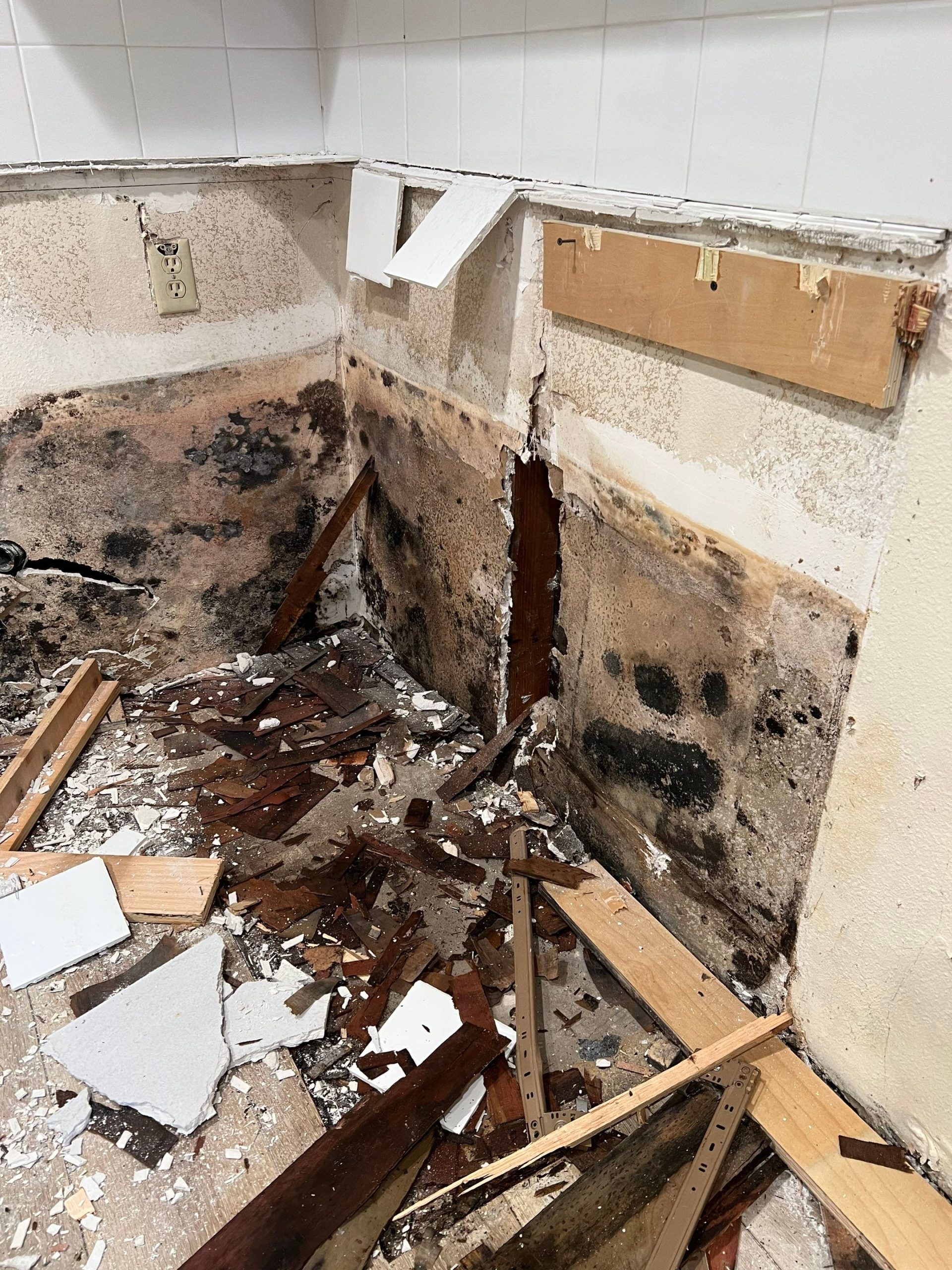 water damage remediation