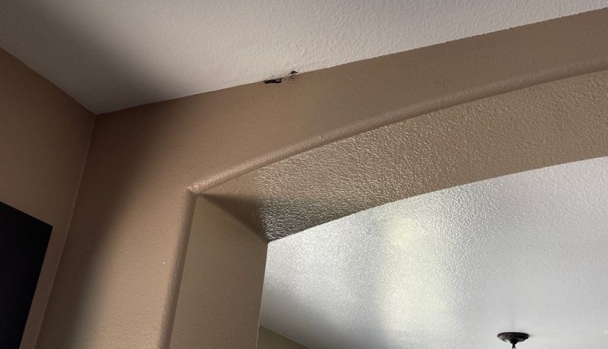 The leak called for emergency restoration.