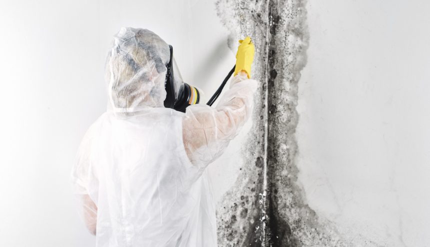 A person in PPE cleans mold off of a wall