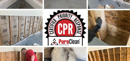 Read More about Mold Removal