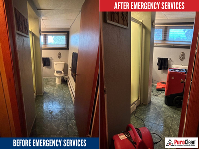 Residential Water Damage Restoration: Why Early Detection Is Critical