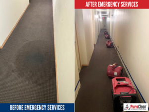 Commercial water damage restoration in Green Bay, showing professional emergency services before and after cleanup to protect the property and prevent further damage.