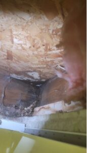 Open joist cavity displaying OSB sheathing and wood framing with dark moisture stains and black spots of mold growth near pulled-back insulation.