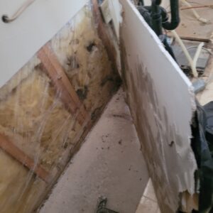 Kitchen framing and subfloor with water damage and suspected toxic mold growth near plumbing.