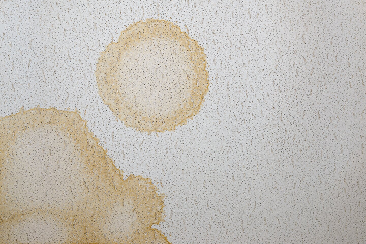 Wet damage on ceiling tile.