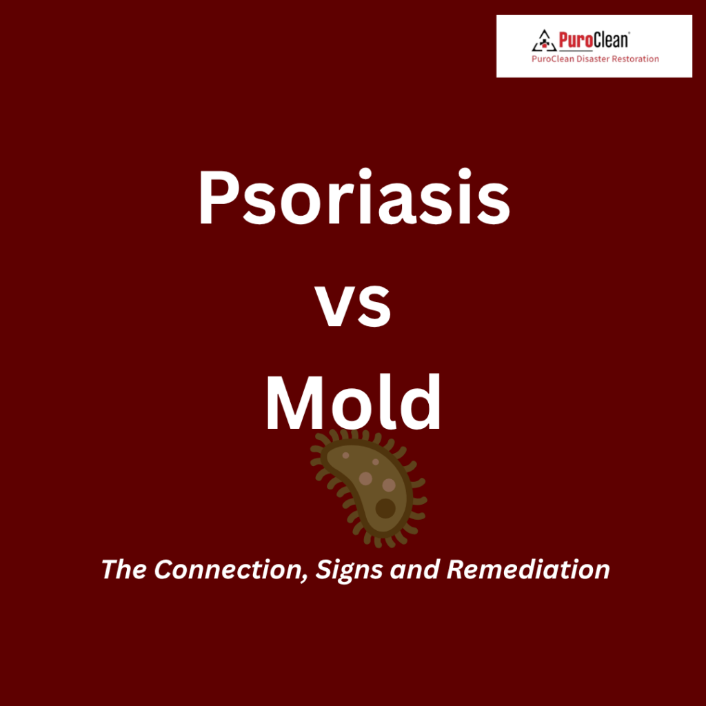 Psoriasis Mold Problem Restoration in Indiana