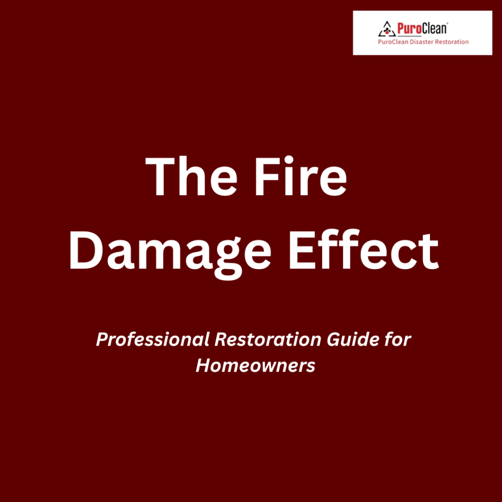 smoke damage (fire damage restoration) smoke odor removal in Indiana