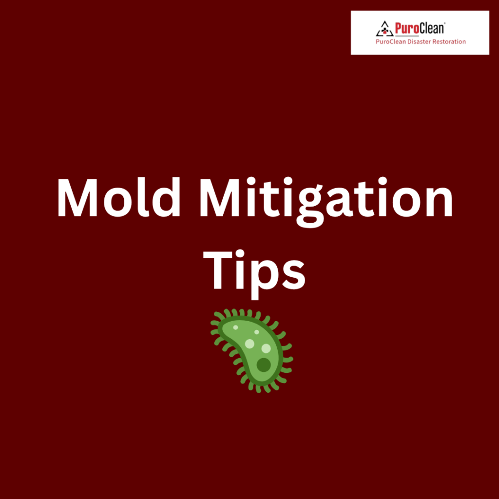 Psoriasis Mold Problem Restoration in Indiana