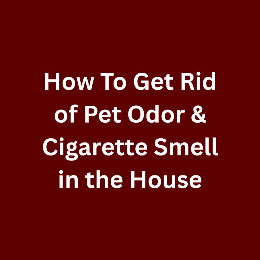 How to get rid of pet odor and cigrate smell in the house - odor removal, cleanup, and restoration service in Indiana