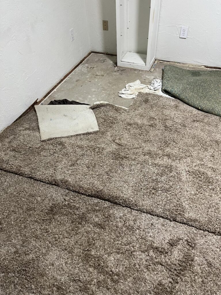 The Effect of Untreated water damage restoration in Indiana