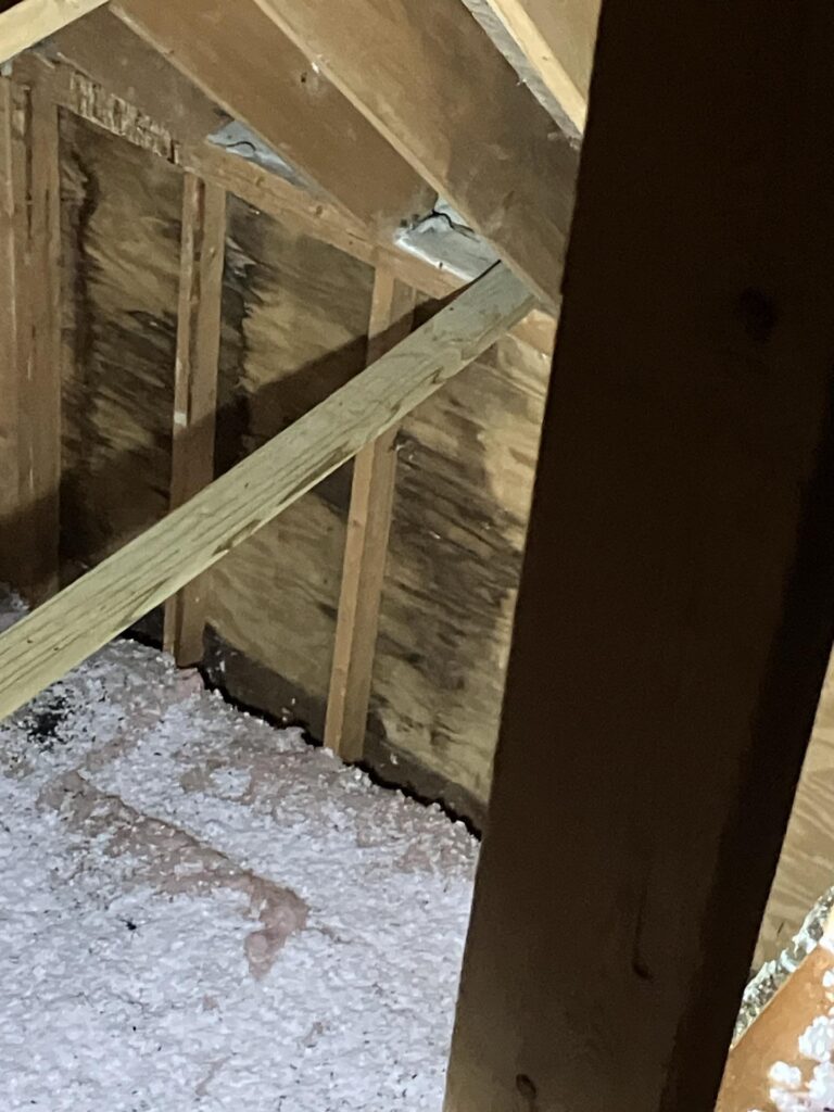 mold from a roof leak - Mold in the Attic, Mold Removal in Indiana