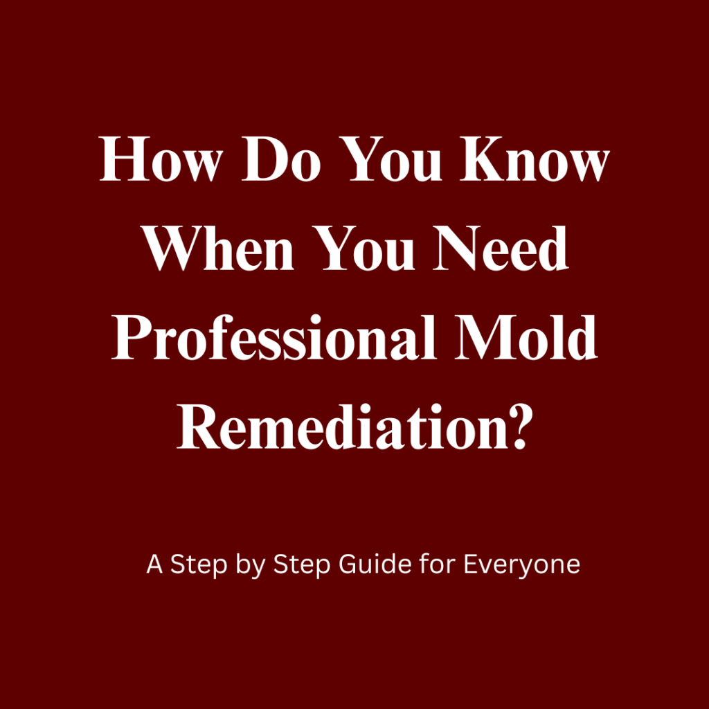 mold remediation service in greenfield indianapolis