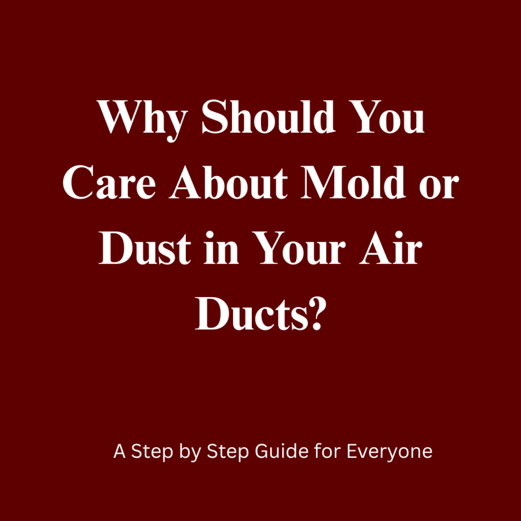 Air duct mold removal in indianapolis