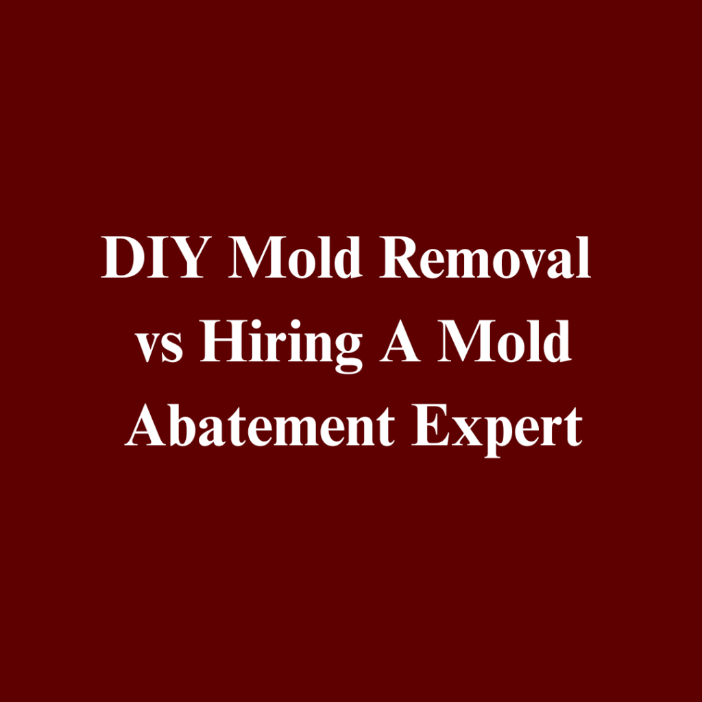 DIY Mold Removal in Greenfield, indianapolis