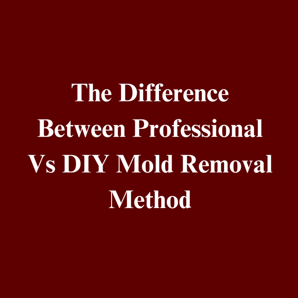 DIY Mold Removal in Greenfield, indianapolis