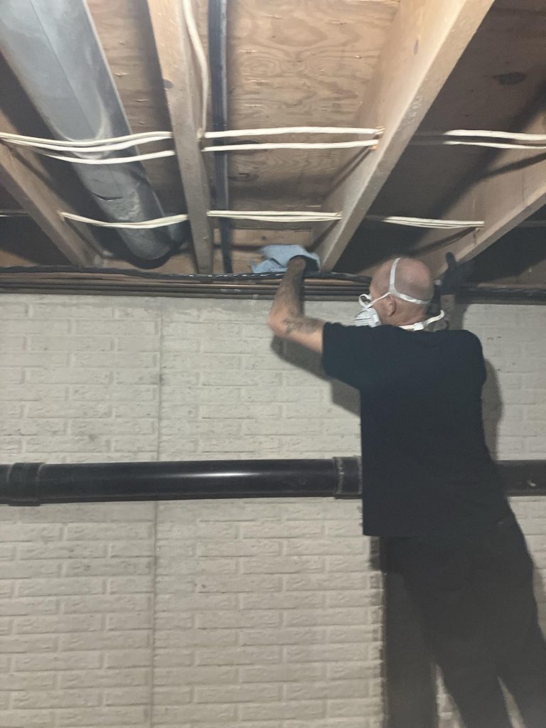 mold from a roof leak - Mold in the Attic, Mold Removal in Indiana
