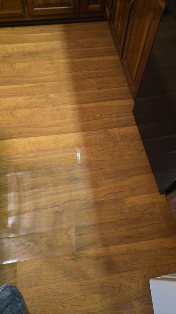 The Effect of Untreated water damage restoration in Ohio