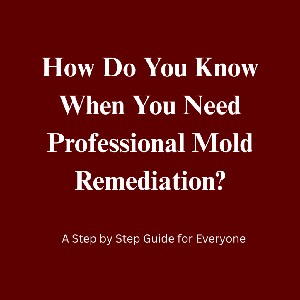 How Do You Know When You Need Professional Mold Remediation in Greenfield?