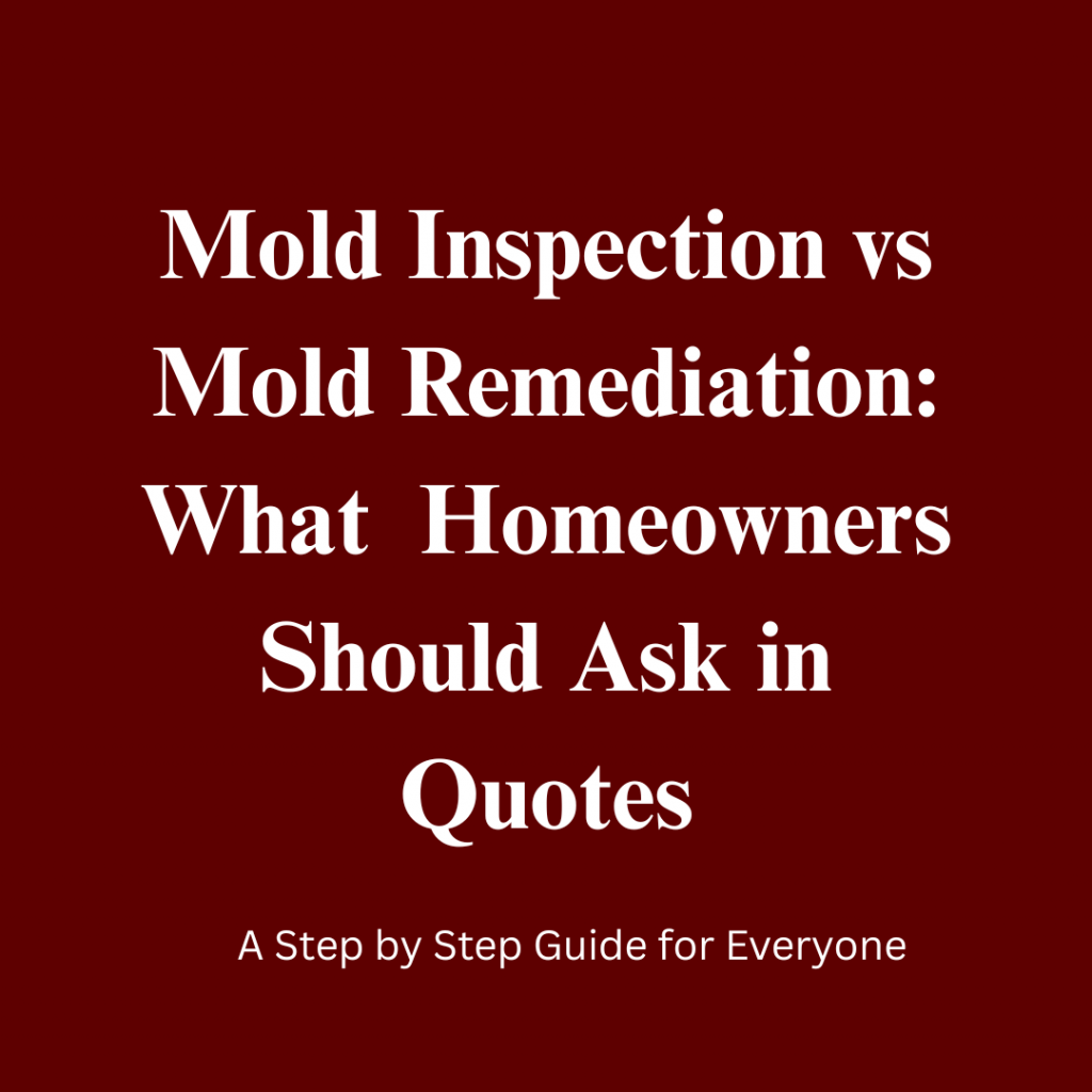 Mold Inspection vs Mold Remediation: What Greenfield Homeowners Should Ask in Quotes
