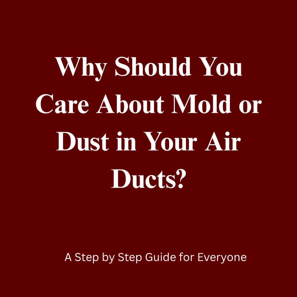 3 Major Signs Your Ductwork Has Mold Growth or Dust Buildup — And How Professional Air Duct Cleaning in Indianapolis Solves Them