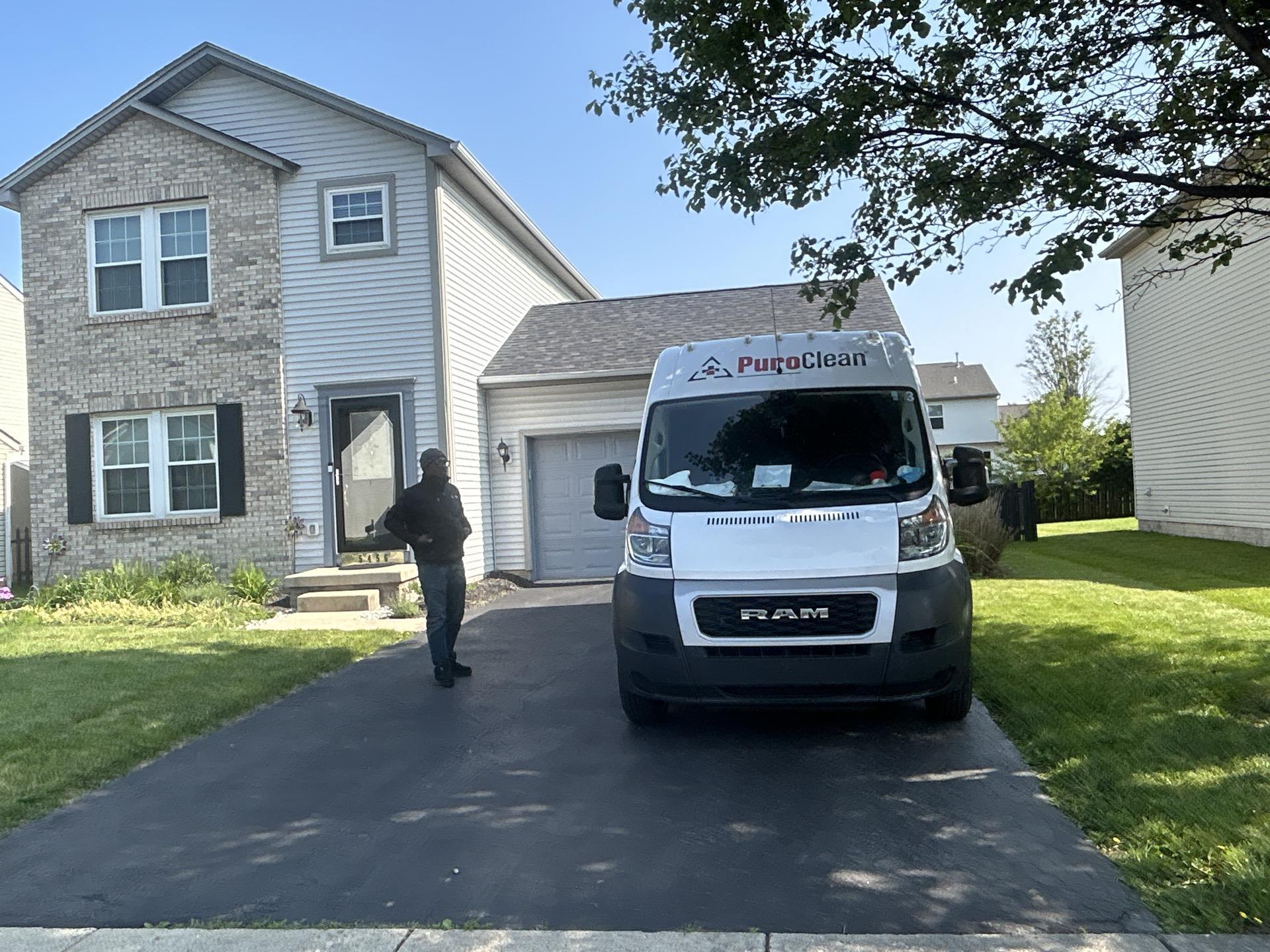 Is Mold on a Pillow Dangerous? 4 Serious Health Risks You Should Never Ignore and What to Do