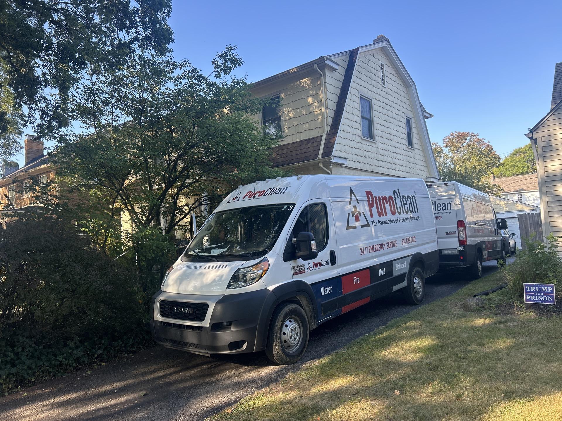 Types of Mold in Homes: Dangerous Varieties You Need to Recognize Early and Choosing the Best Remediation Company Near Greenfield IN