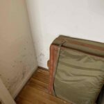 water damage restoration Greensburg