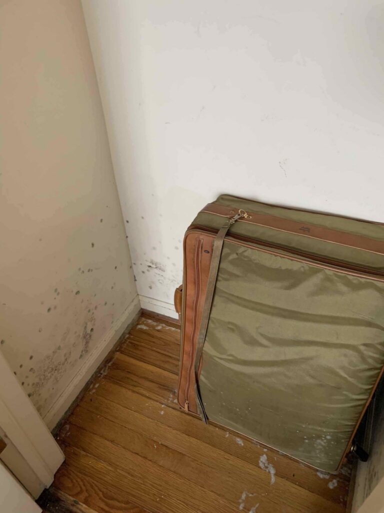 water damage restoration Greensburg