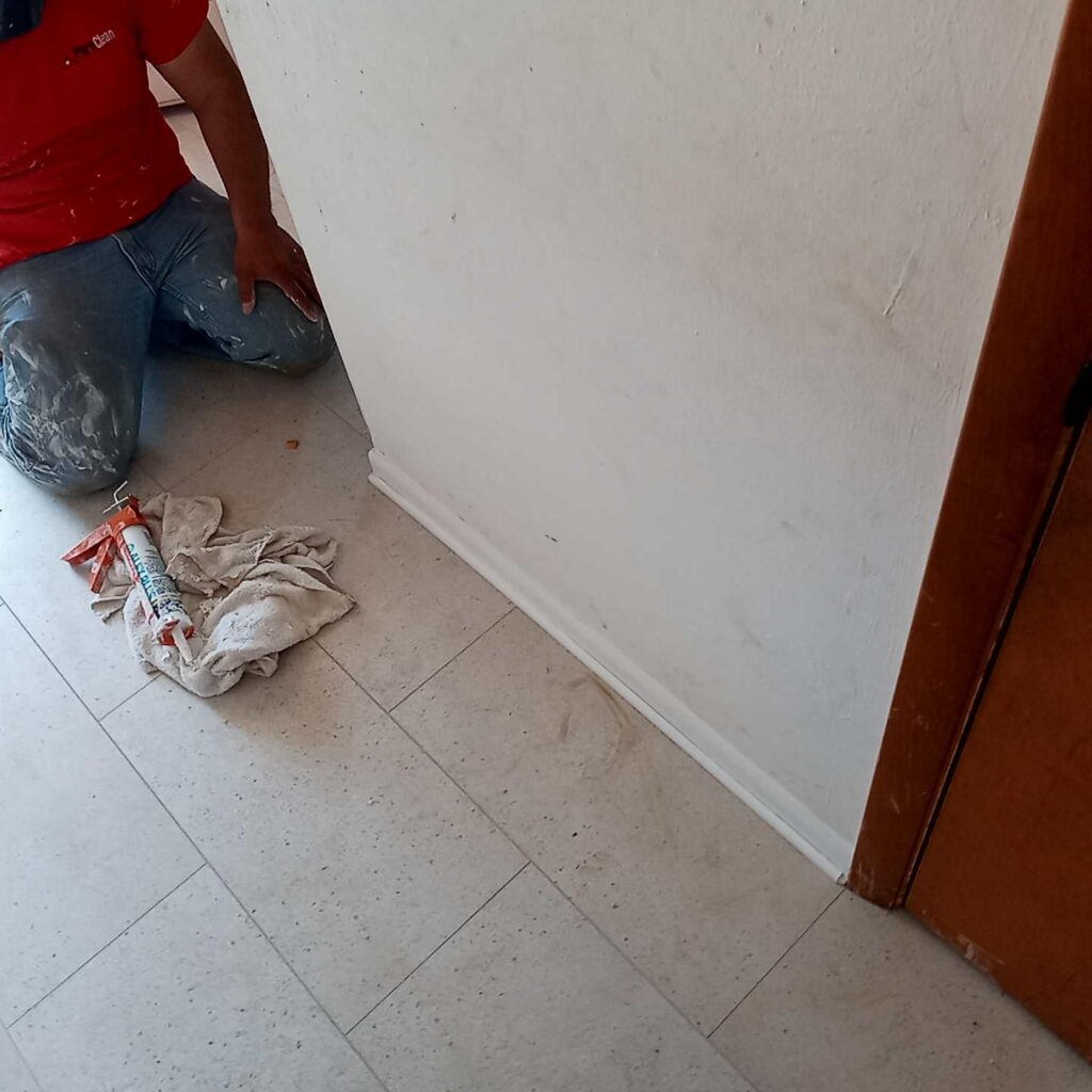 10 Critical, Urgent Deep Cleaning Tasks to Complete Before Summer After Spring Floods