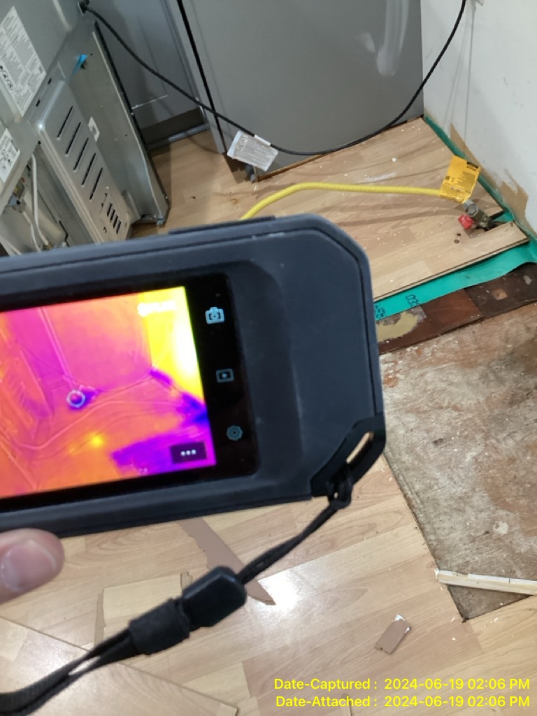 12 Smart Ways to Prevent Mold Growth After a Flood - Moisture Mapping with thermal camera