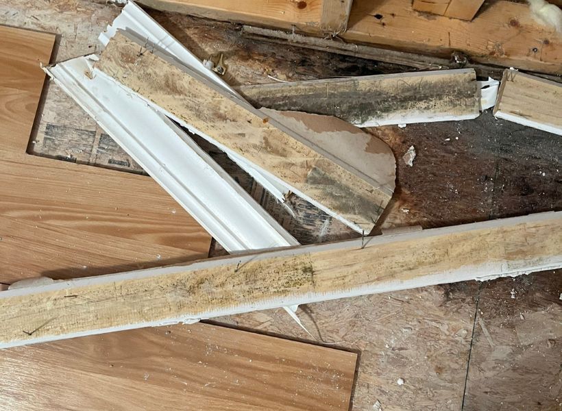 demo during water damage mitigation