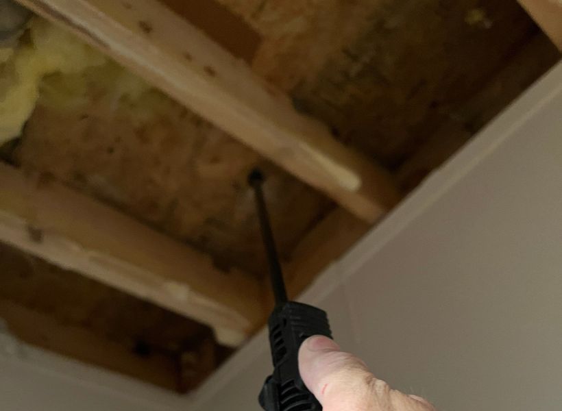treating mold infested areas