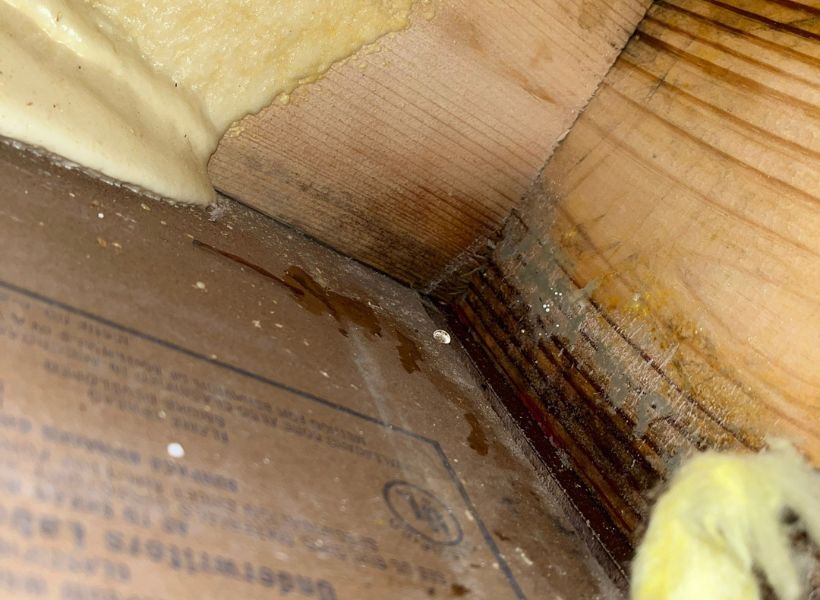 water-damaged framing