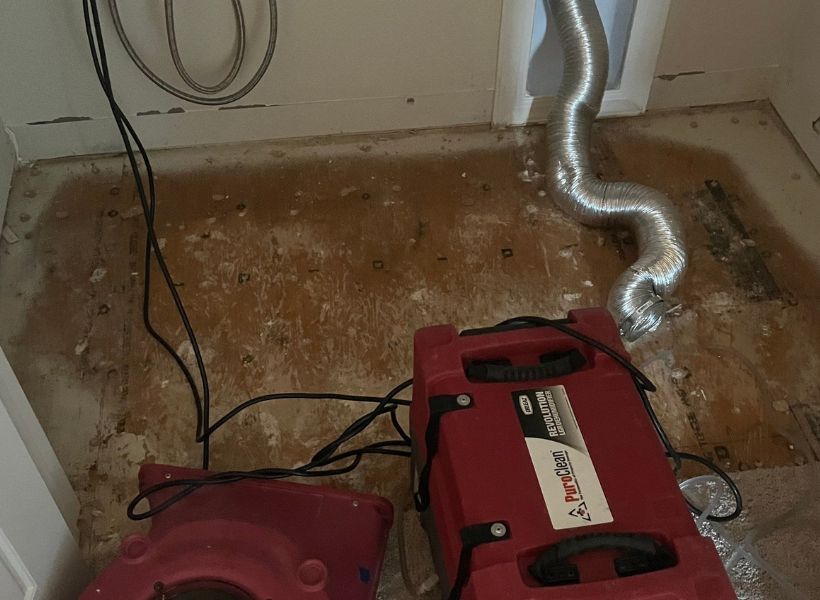 thorough drying of the affected areas
